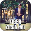 Tiger Zinda Hai DP Maker