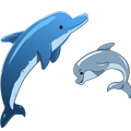 Dolphin Wallpaper