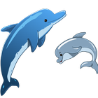 Dolphin Wallpaper आइकन