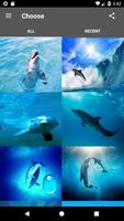 Dolphin Wallpaper ポスター