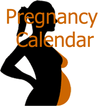 Pregnancy Calendar