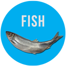 Рыбалка (Unreleased) APK