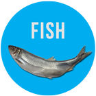 Рыбалка (Unreleased) icon