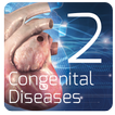 Cardiology 3D small animals(2)