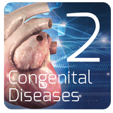 Cardiology 3D small animals(2) icône