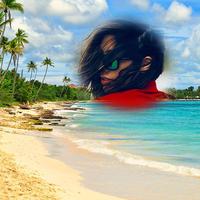 Island Photo Frames 截圖 2