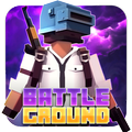 Pixel`s Last Battle Ground