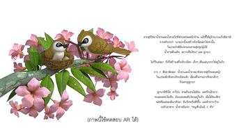 โลกใบเล็กในสวน AR imagem de tela 2