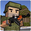 Block Soldier Survival Games