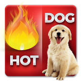 Fun Words Picture Quiz Game أيقونة