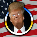 Trumpgate - Impeachment Pie