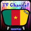 Info TV Channel Cameroon HD