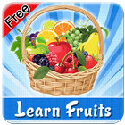 Learn fruits icône