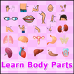 Learn body parts (Free)