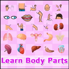 Learn body parts (Free) icône