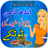 Tips in Urdu icône