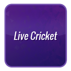 le cricket score en direct icône