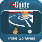 Guide for Poke Go Gyms icône