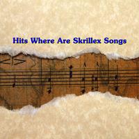 Hits Where Are Skrillex Songs پوسٹر