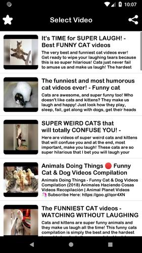Funny Animals Videos APK for Android Download Funny Animals Videos APK for Android Download