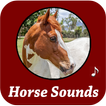 Horse Sounds Ringtones