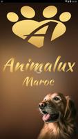 Animalux Maroc poster