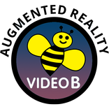 BeeMagV AR - Vol1Eds10B