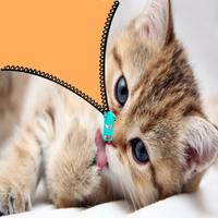 Bella cat zipper unlock постер