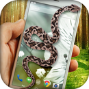 Snake in Hand - iSnake aplikacja