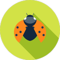 Nearby Species