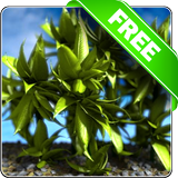 Plants in the wind free lwp آئیکن