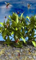 1 Schermata Plants in the wind free lwp