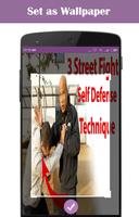 Street Fighting Techniques capture d'écran 2