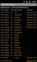 Flight Info Norway Affiche