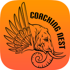 Coaching Nest icône