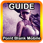 Guide and Cheats Point Blank icon