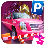 Pink Lady Limo Taxi Driver Go