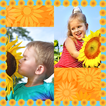 Sunflower Photo Collage