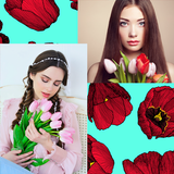 Collage de photos de tulipes icône