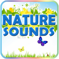 Nature Sounds