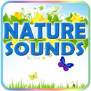Nature Sounds APK