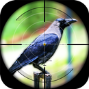 Crow Hunting - Forest Sniper Shooting Adventure 18 APK