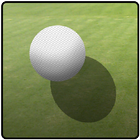 2 Player Cricket Game - CASUAL icon