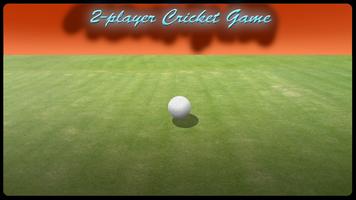 2 Player Cricket Game - CASUAL screenshot 2