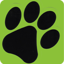 Play All Day Pet Sitting APK