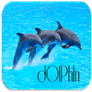 Dolphin Sounds APK