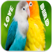 ”Love Bird Sounds