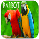 Parrot Sounds APK
