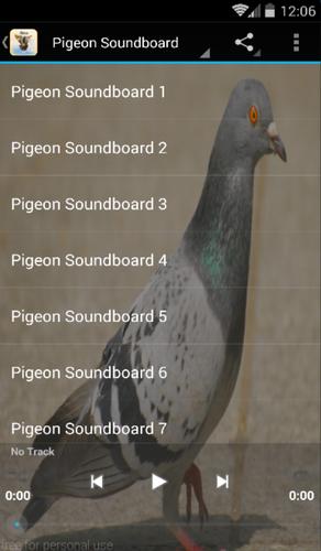 Pigeon Sounds APK for Android Download