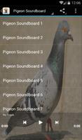 Poster Pigeon Suoni